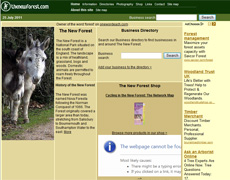 The New Forest